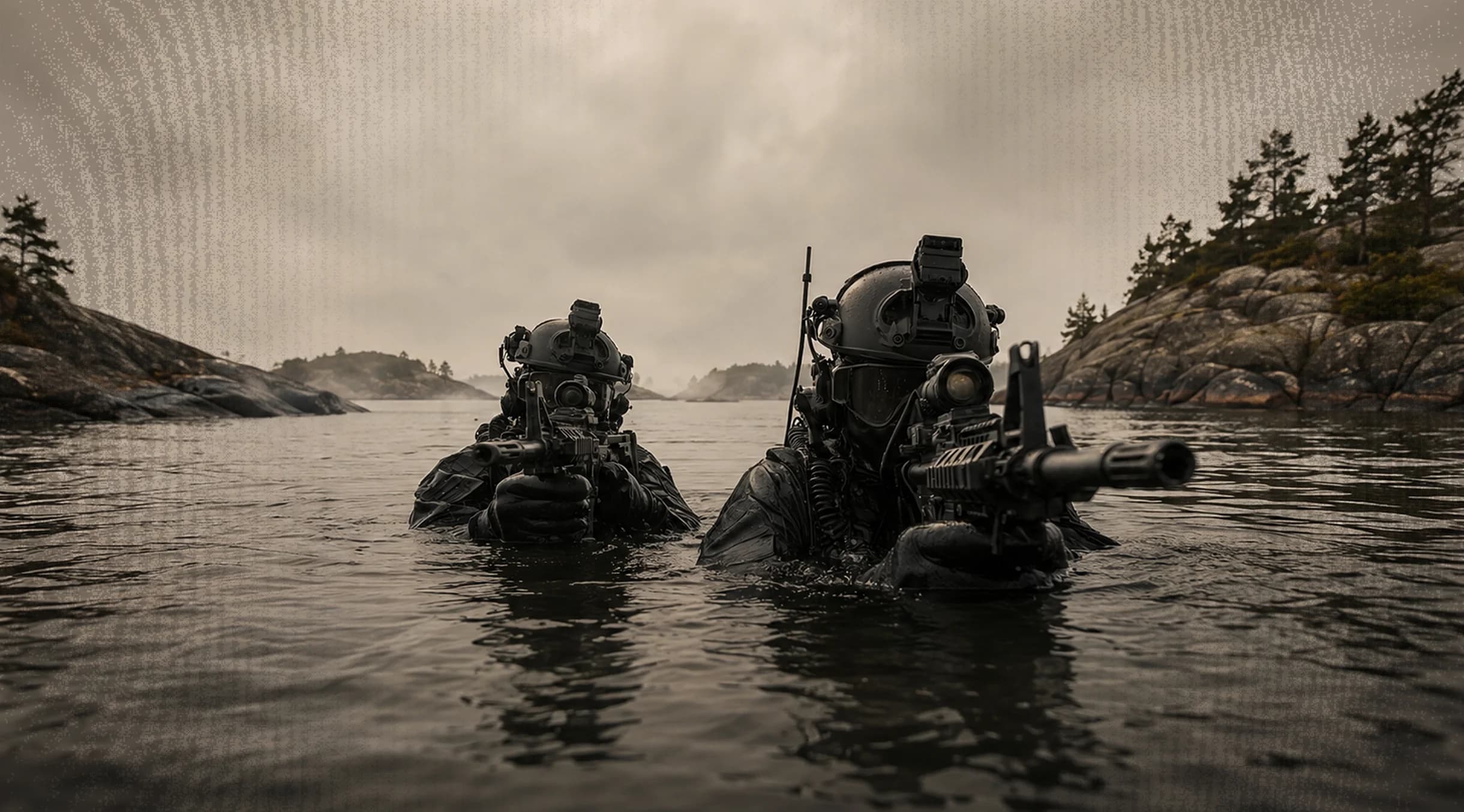 Navy seal in the water